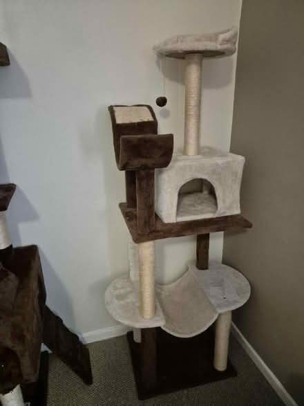 Photo of free Cat towers and large scratch post (Drayton PO6) #1