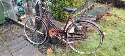 Photo of free Ladies bicycles - need new gears (Pyrford GU22) #1