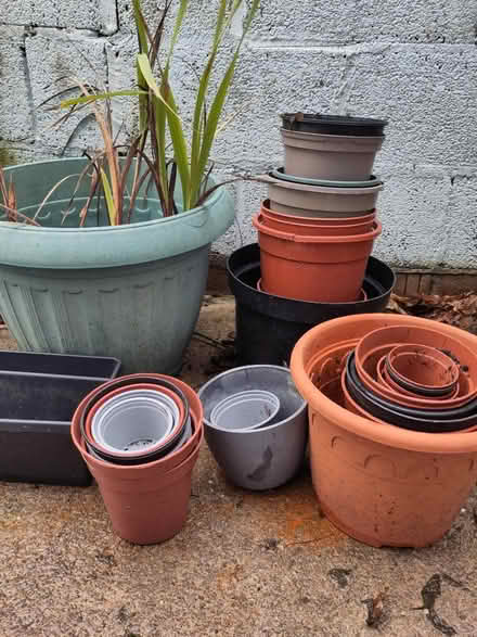 Photo of free Plant pots bundle (Bristol BS3) #2