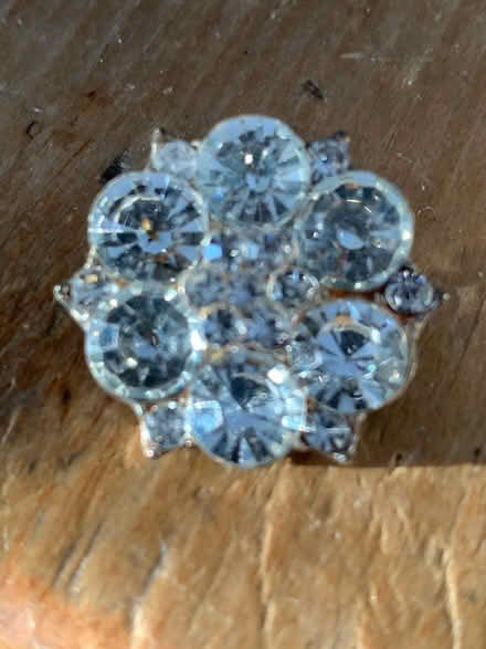 Photo of free Costume Jewelry Brooch (South Brampton) #1