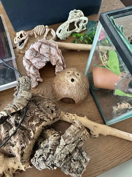 Photo of free Various vivarium things (Northolt) #4