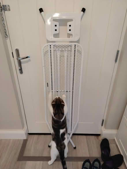 Photo of free Ironing board frame (SG6) #2