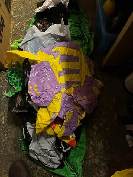 Photo of free 9 Large Pool Inflatables (Chippenham SN15) #4