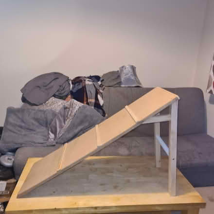 Photo of free Ramp (pet ramp) (TW7) #2