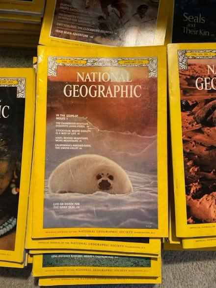 Photo of free Multiple copies National Geographic (Chalfont St Peter SL9) #4