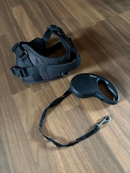 Photo of free Flexi leash + harness (Birley moor S12) #1