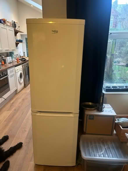Photo of free Fridge Freezer (Walkley, S6) #1