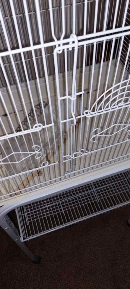 Photo of free Budgie bird cage and stand (Glasgow Linthouse G51) #2