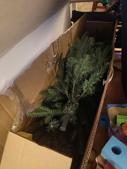 Photo of free 5ft Dellonda Christmas Tree (Sidney Street, OX4) #1