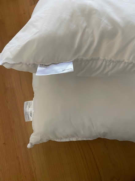 Photo of free Comfy pet bed? Soft pillow. Freshly washed and dried pillows (Brookfield PR2) #1