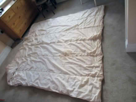 Photo of free Old Duvet - for Pets? (Llandrindod LD1) #1