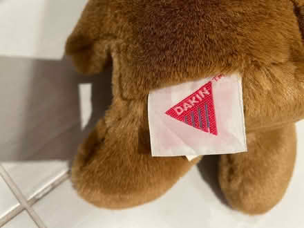 Photo of free Small teddy bear (Kennedy/16th in Markham) #2