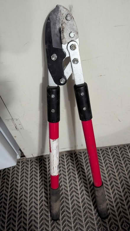 Photo of free Tree Loppers (Bellevue Bridle Trails area) #1