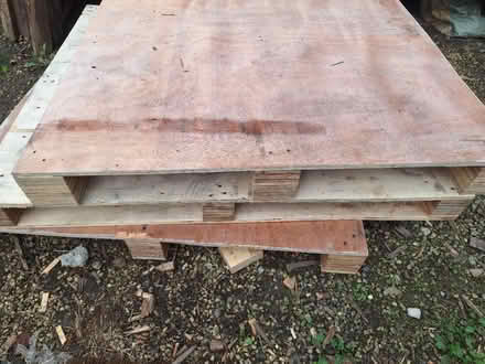 Photo of free Pallet/ plywood Apooxx 100 x 120cm (S21) #2