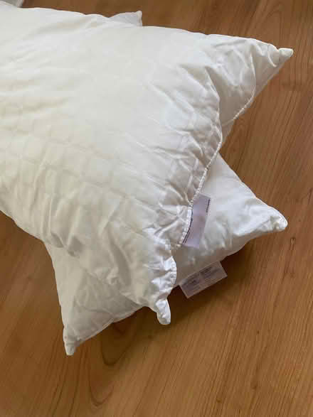 Photo of free John Lewis. Comfy bed for your pet maybe? Soft pillows (Brookfield PR2) #1