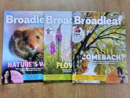 Photo of free 'Broadleaf' - Woodland Trust (Fareham PO15) #1