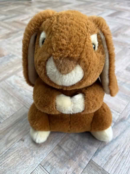 Photo of free Rabbit Cuddly Toy (Wainscott) #1
