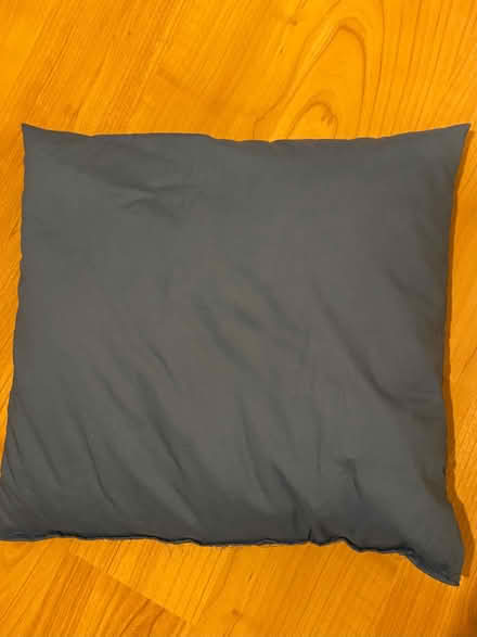Photo of free Pet’s freshly washed bean bag cushion and covers (Brookfield PR2) #1