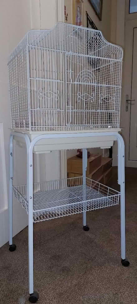 Photo of free Budgie bird cage and stand (Glasgow Linthouse G51) #1