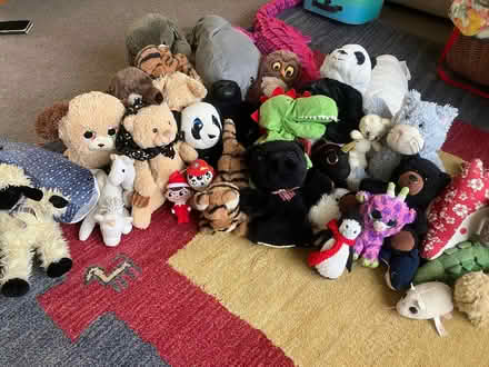 Photo of free Soft toys (Morningside EH10) #1