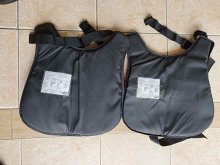 Photo of free Dog life jackets x 2 (Naunton WR8) #2