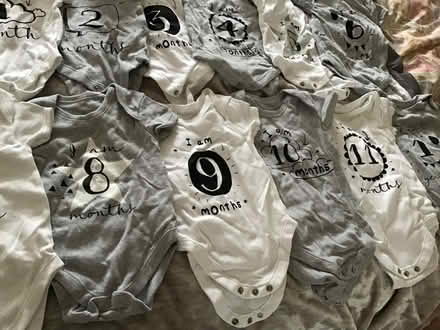 Photo of free Baby vests numbers for months (Hyde Heath HP6) #3