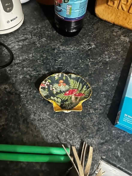 Photo of free Painted shell (Warrington) #1