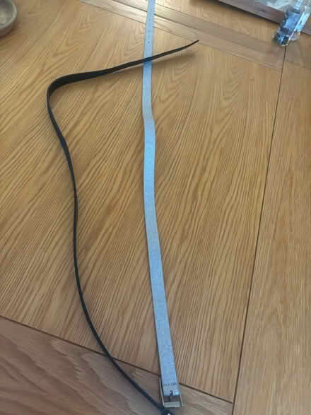 Photo of free Two glittery belts (Bexhill TN39) #1