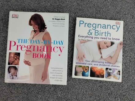 Photo of free Pregnancy books (Arbourthrone S2) #1