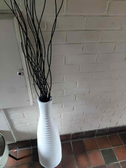 Photo of free Large vase and branches (Norwich NR5) #2