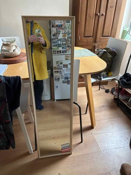 Photo of free Long mirror 32cm x 115cm (Lower Walkley S6) #1