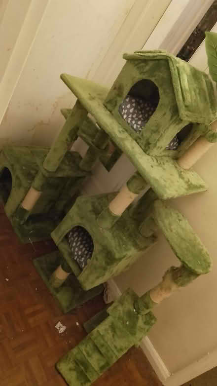 Photo of free Large cat tree (W13) #1