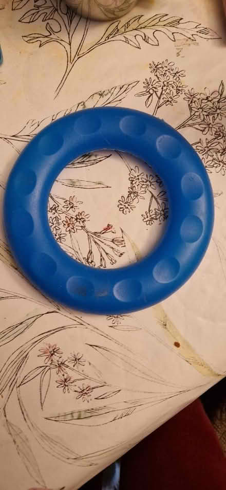 Photo of free Plastic ring (Upper Wellsway) #1