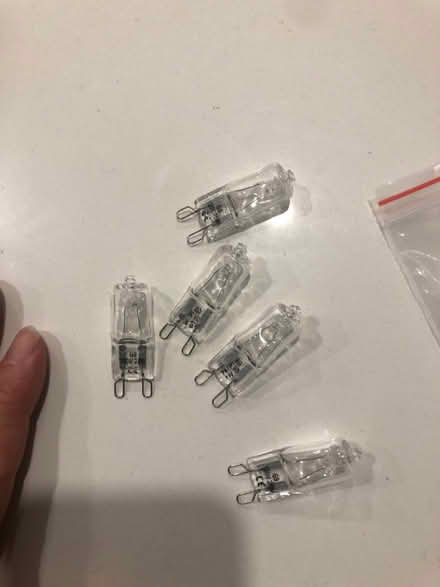 Photo of free G9 25W halogen bulbs 120V (Midtown Toronto) #2