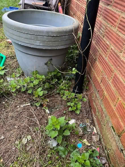 Photo of free Garden pots (Ipswich IP2) #1