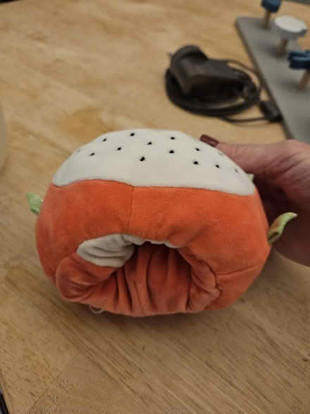 Photo of free Small plushy toy (E4 Chingford) #3