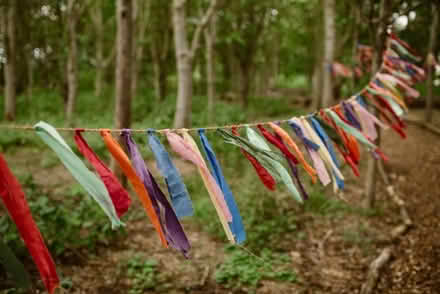 Photo of Outdoor bunting / trellis (Burngreave S4) #1