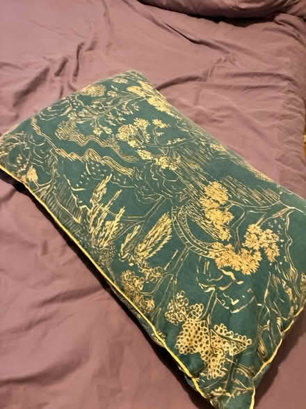 Photo of free Two pillows (Close to Ravenscourt Park) #1