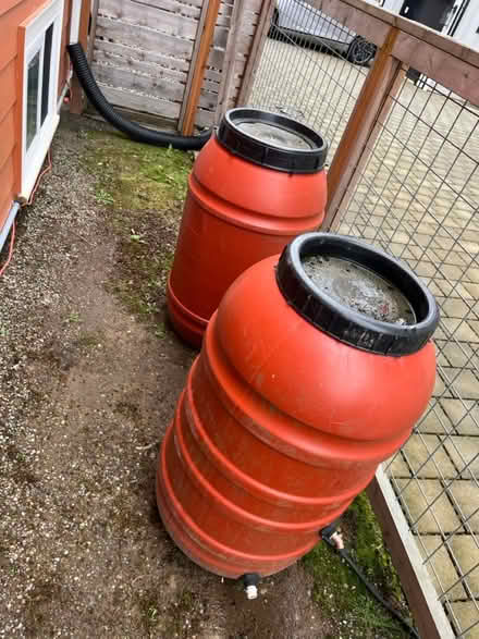 Photo of free Rain barrels pair (Ballard, Seattle) #1
