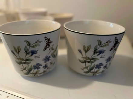 Photo of free Indoor plant pots (BT7) #2