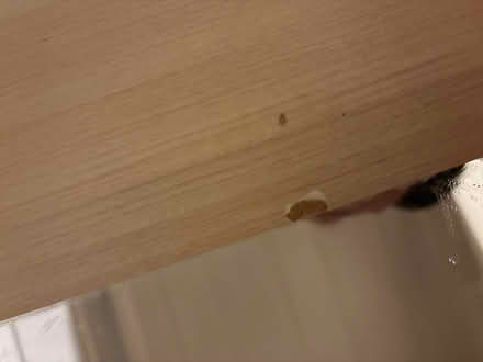 Photo of free Wall mirror (Bamber Bridge PR5) #3