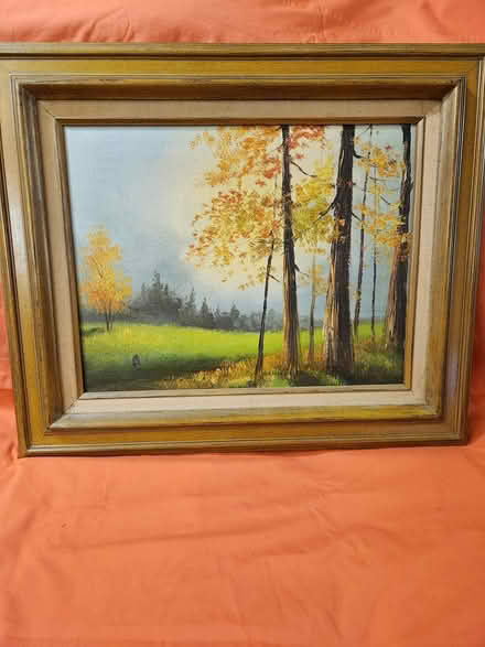 Photo of free 2 oil paintings (Spanish Lake 63138) #1