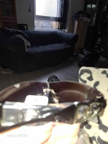 Photo of free Sunglasses (Westgate LA4) #2