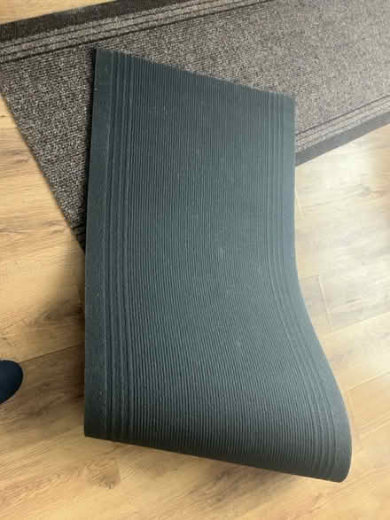Photo of free 2 brown rubber backed runner mats (Rochester ME1) #2