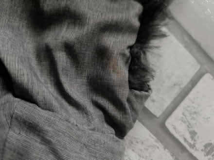 Photo of free Boys coat 18- 24 months (Upper Norwood SE19) #3