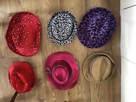 Photo of free Fancy dress (Redhill RH1) #1