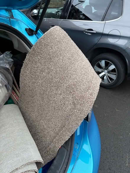 Photo of free Carpet and underlay (PA1) #1