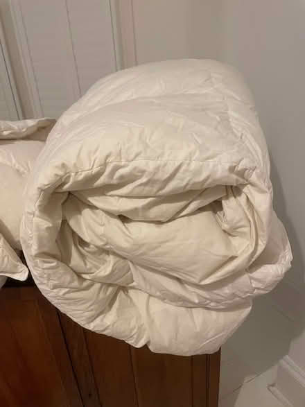 Photo of free 2 Feather Duvets - double (Haringey, near St Ann's, N15) #1