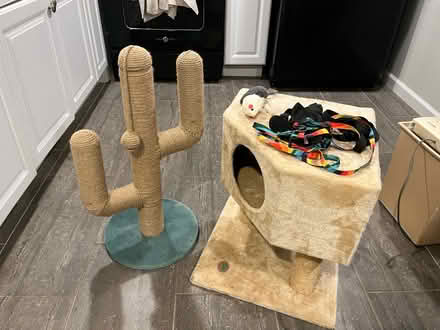 Photo of free Cat supplies (Randolph Hills (Ashley Drive)) #2