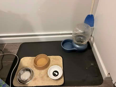 Photo of free Cat supplies (Randolph Hills (Ashley Drive)) #1